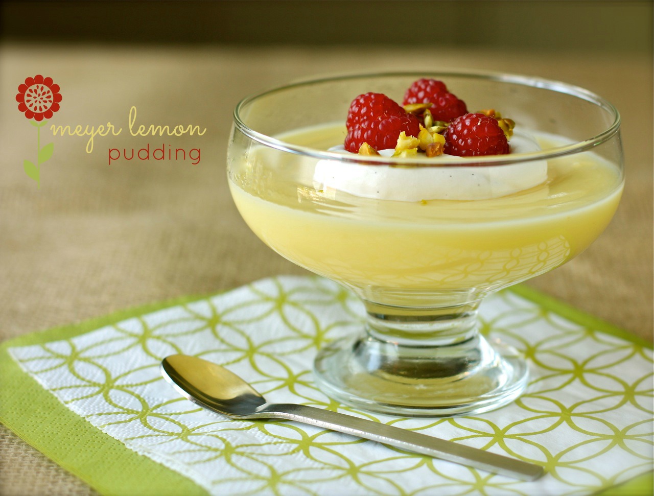 meyer lemon pudding with chantilly cream, raspberries, and pistachios | daisy's world