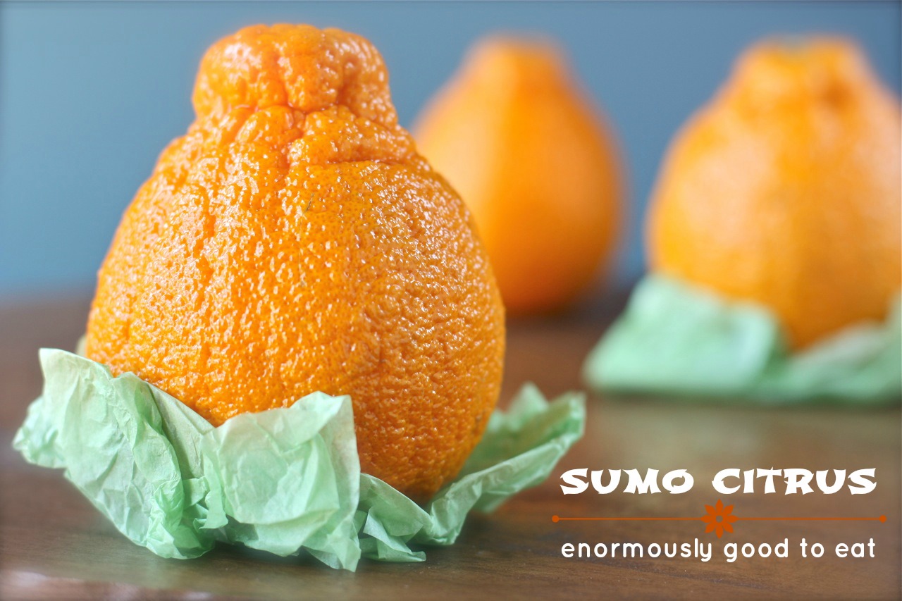 sumo citrus slices with crème fraîche, pistachios, and mint